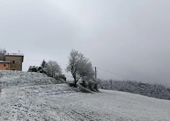 Podere Sode Del Mardello * Civitella di Romagna
